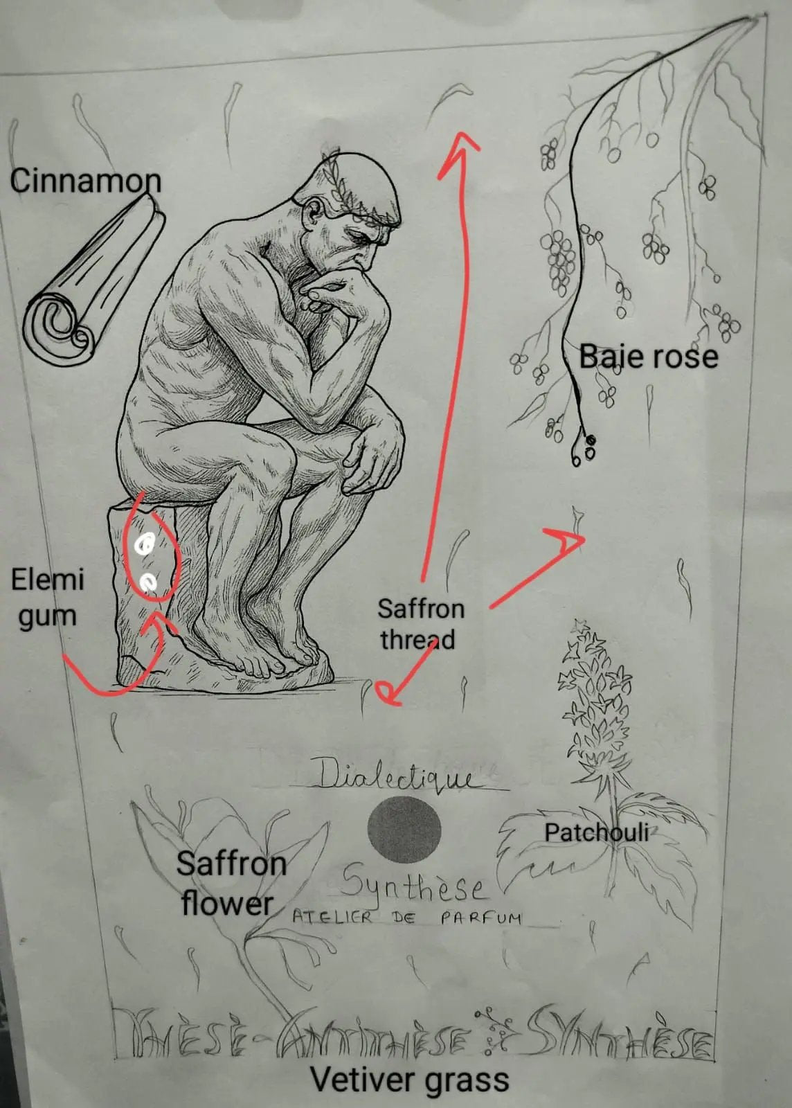 عطر ديالكتيك للجنسين