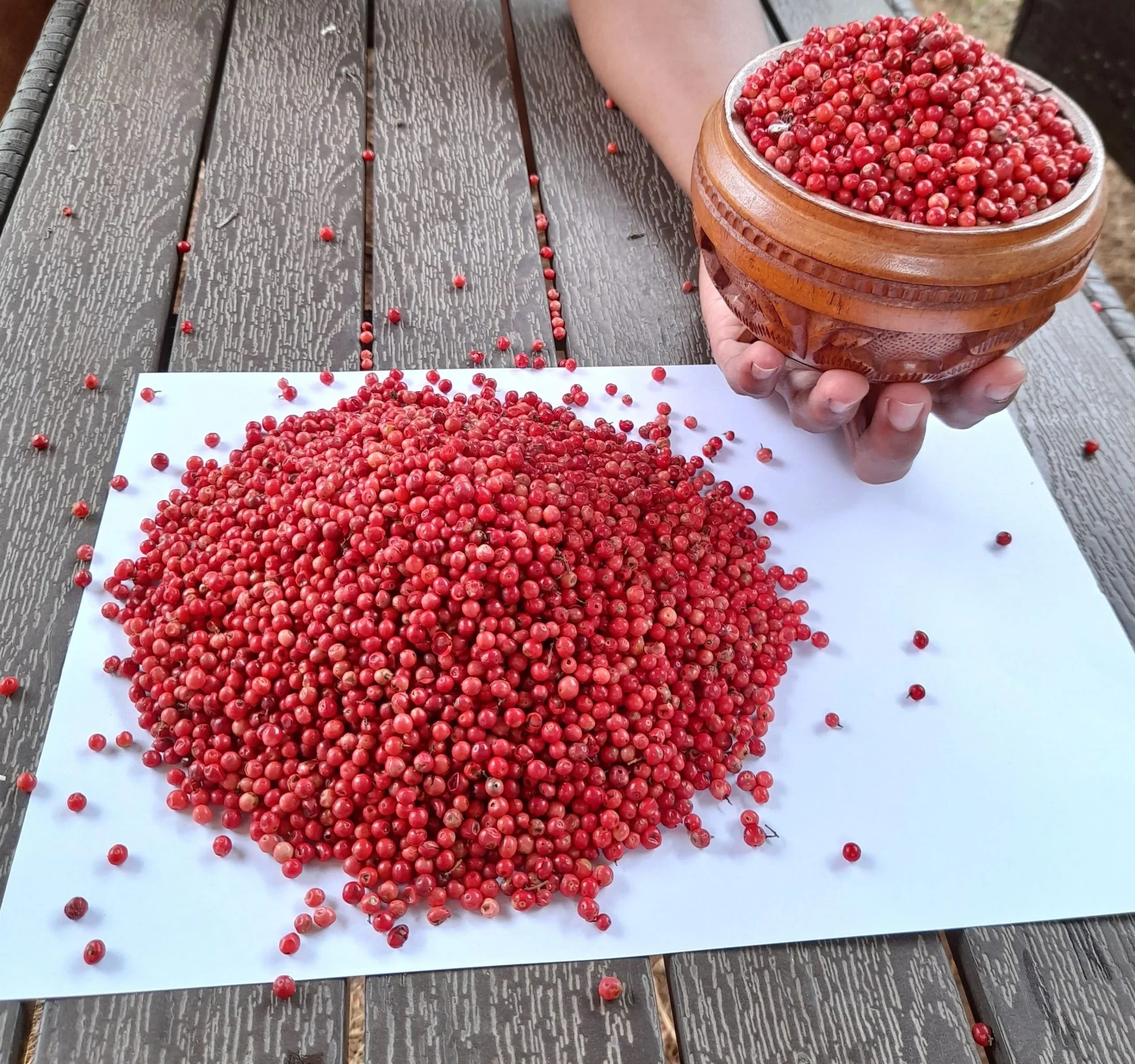 Synthese Atelier de Parfum