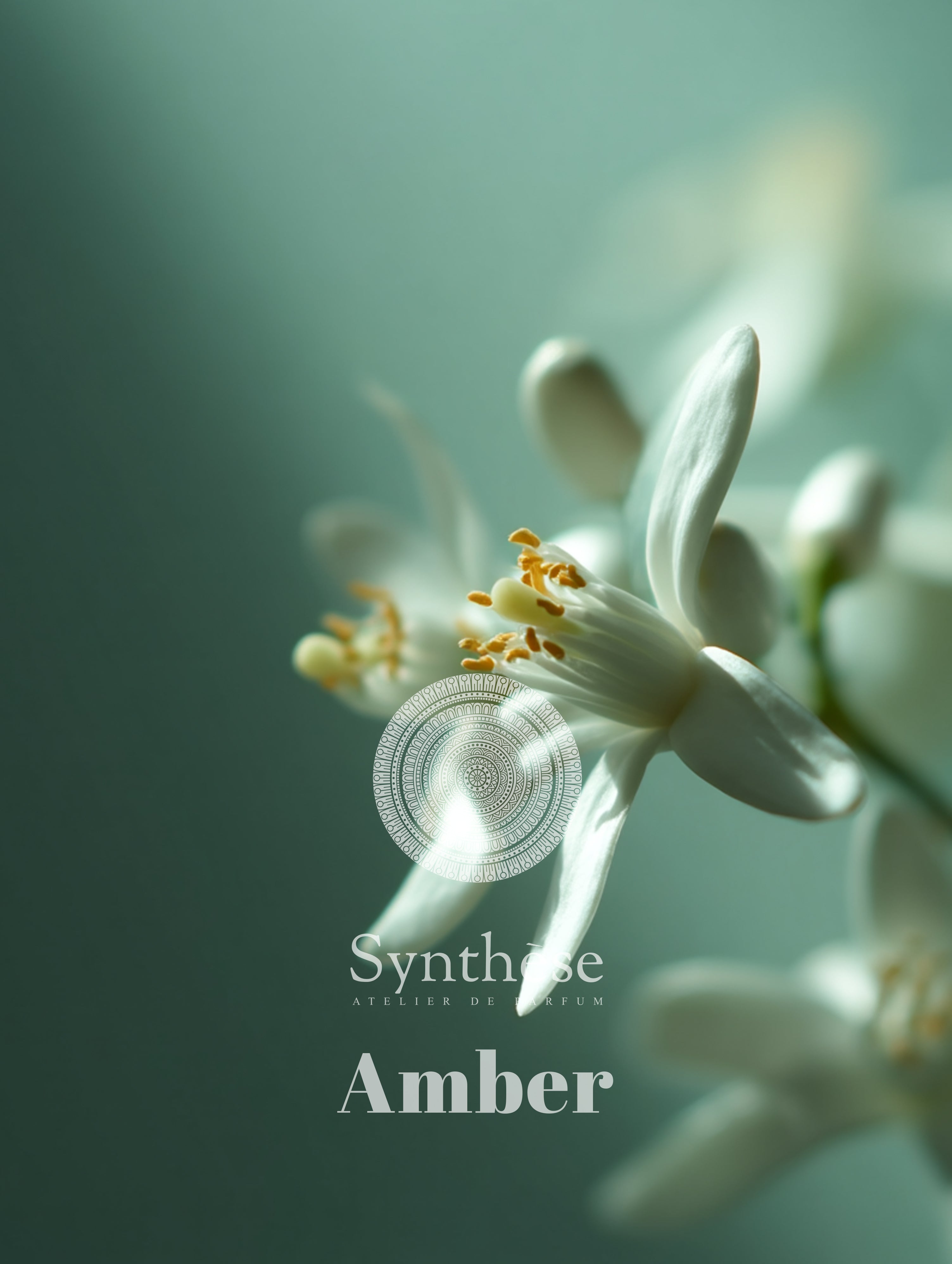 Synthese Atelier de Parfum